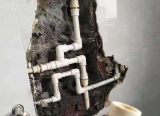 滨江卫生间测漏水价格多少