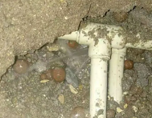 滨江卫生间测漏