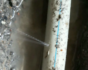 滨江卫生间测漏水多少钱
