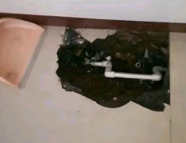 滨江卫生间测漏水多少钱