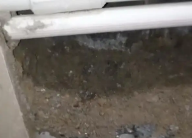 滨江卫生间测漏水多少钱