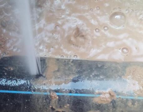 滨江卫生间防水哪家好